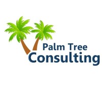 Palm tree consulting ct