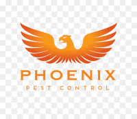 Phoenix computer company
