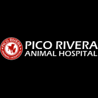 Pico rivera animal hospital