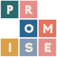 Promise project