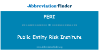 Public entity risk institute