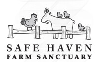 Safe haven farm sanctuary