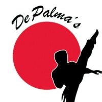 Depalma's team usa martial arts