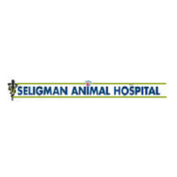 Seligman animal hospital