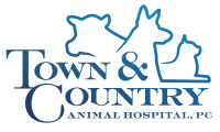 Town & country animal hospital