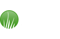 Artificial grass pros