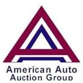 American auto auction group, llc