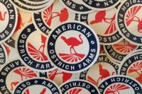 American ostrich farms