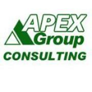 Apex group consulting