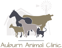 Auburn animal clinic