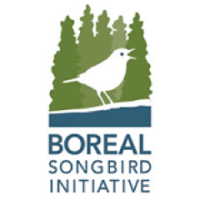 Boreal songbird initiative