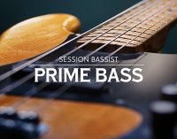 Session bassist