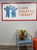 Elgin pediatric therapy inc