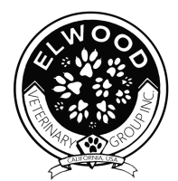 Elwood animal clinic