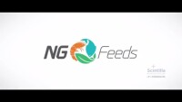 NgFeeds.com