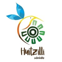 Huitzilli