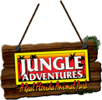Jungle adventures