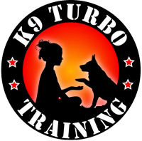 K9 turbo training