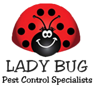Lady bug pest control