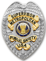 Metropolitan public safety