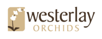 Westerlay Orchids