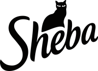 Shaeba corp