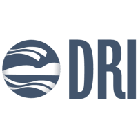 Dri foundation