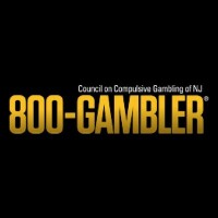The council on compulsive gambling of new jersey, inc.