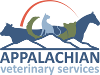 Appalachian animal clinic