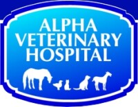 Alpha veterinary hospital