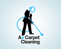 A+ carpet care