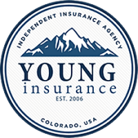 A.young insurance agency