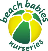 Beach babies limited