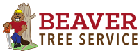 Beaver's tree service