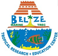 Belize trec