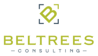 Beltrees consulting services