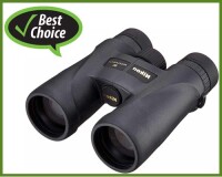 Best buy binoculars