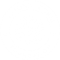 Beyond coral foundation