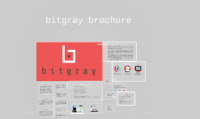 Bitgray