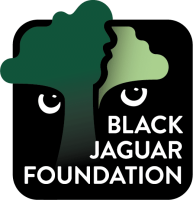Black jaguar capital