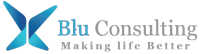 Blu consulting partners