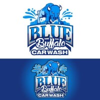 Blue spring auto wash