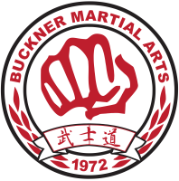 Best martial arts institute