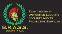Brass security llc