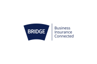Bridge insurance