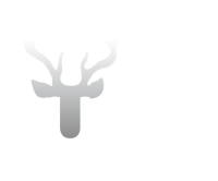 Bucks pest control