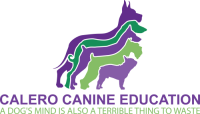 Calero canine education
