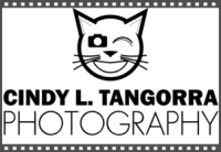 Cindy l. tangorra photography