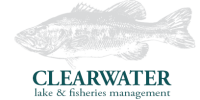 Clearwater consulting