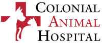 Colonial animal hospital-1